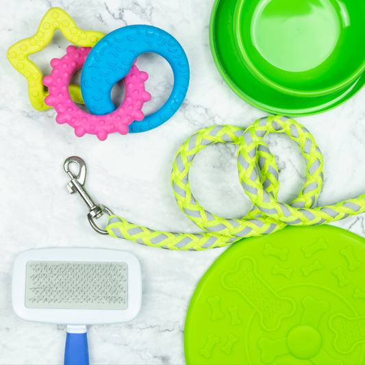 10 Important Supplies Every New Pet Owner Needs