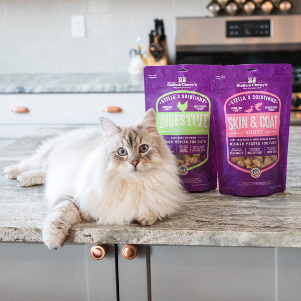 Stella & Chewy's Cat Food Stella's Solution Skin & Coat Boost 7.5oz (213g)