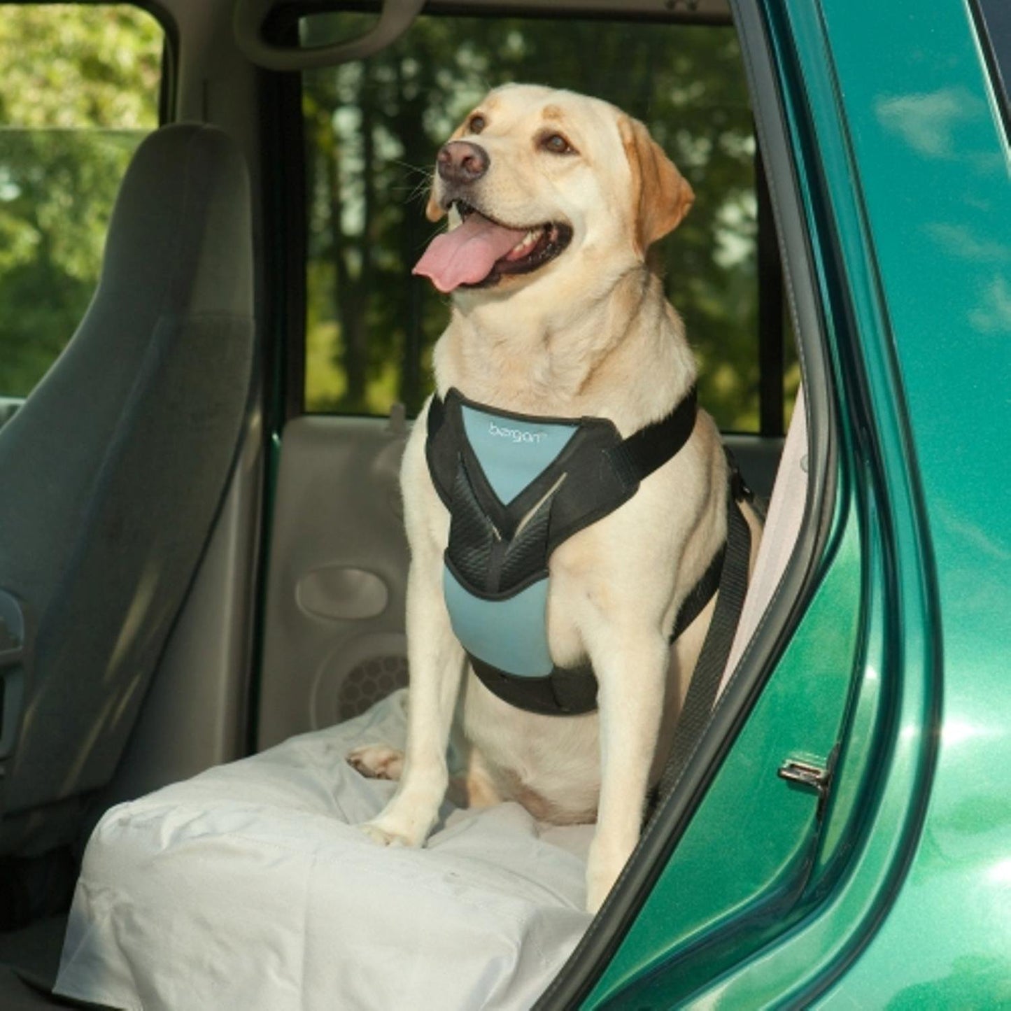 Bergan Dog Auto Harness W/ Tether -X-Large