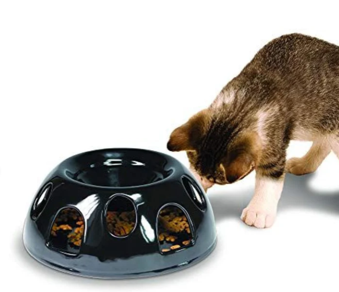 Pioneer Pet Tiger Diner-Ceramic Food Bowl