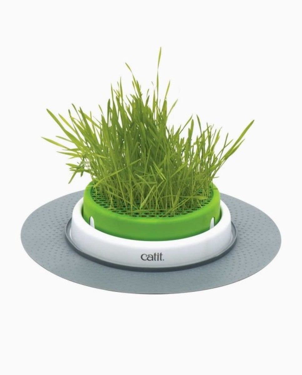 Catit Senses 2.0 Grass Planter for Cats