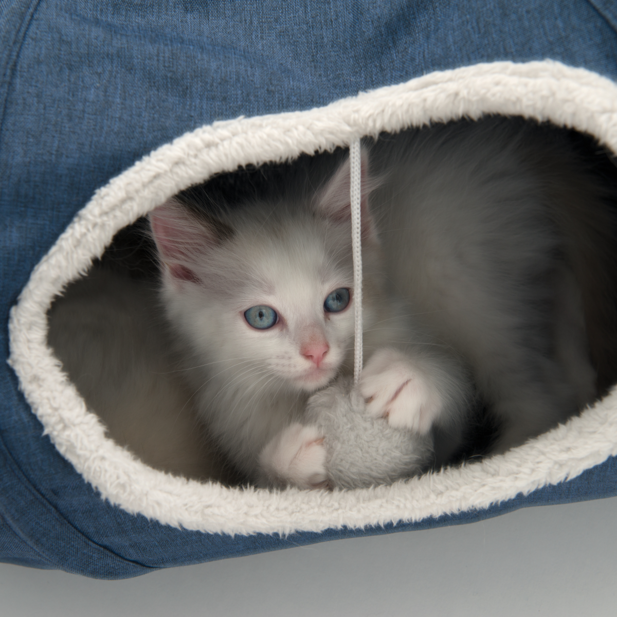 Catit Vesper Cat Tunnel