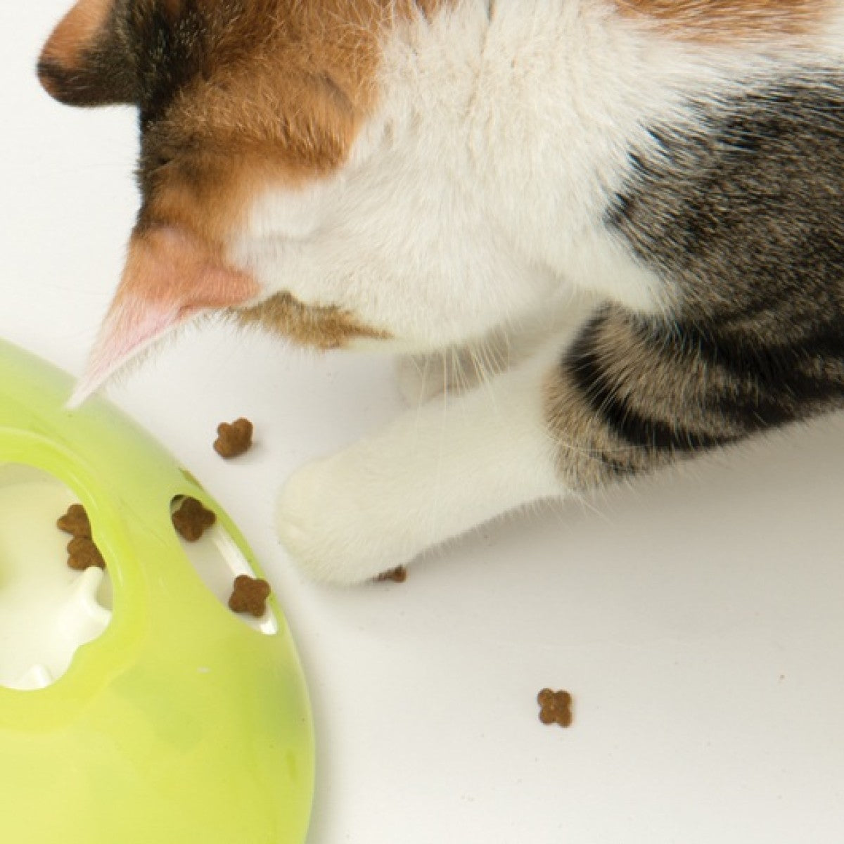 CatIt Senses 2.0. Play Treat Spinner Cat Toy