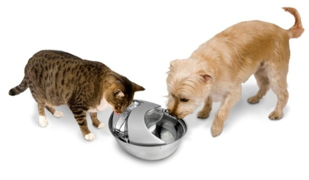 Pioneer Pet Stainless Steel Drinking Fountain for Cats and Dogs - Raindrop Style 60oz (1.8L)