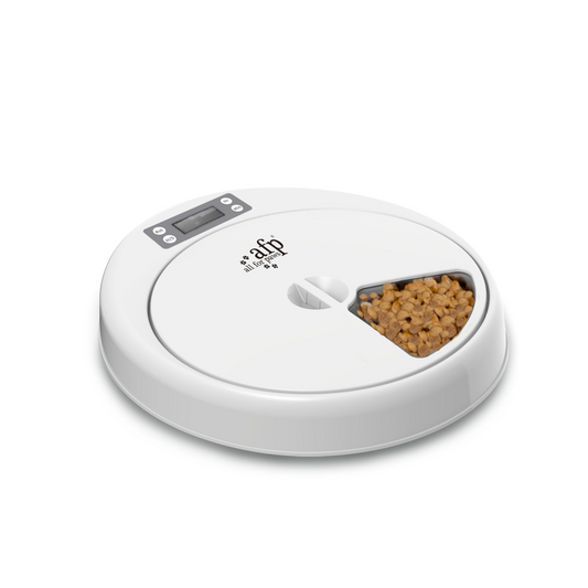 All for Paws 5-Meal Pet Feeder for Dogs and Cats