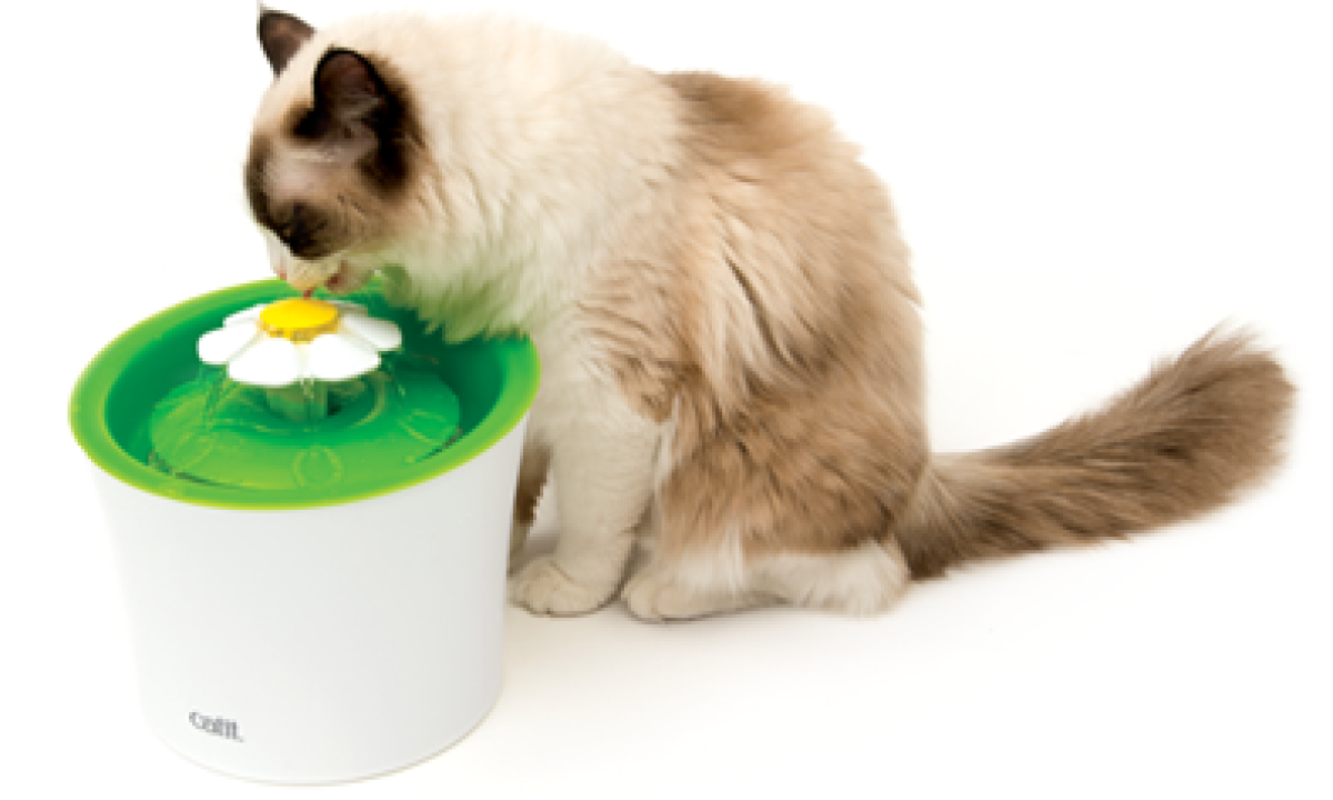 Catit Senses 2.0 Flower Drinking Fountain for Cats and Dogs