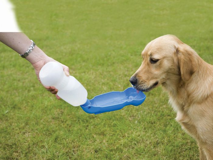Savic Aqua Boy Portable Water Dispenser for Dogs
