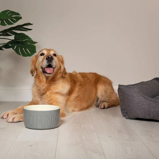 Scruffs Classic Dog Water Bowl 1L