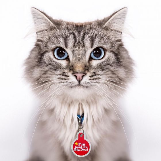 ID Tag - I'm Kind of a Big Deal Raised Edge Circle