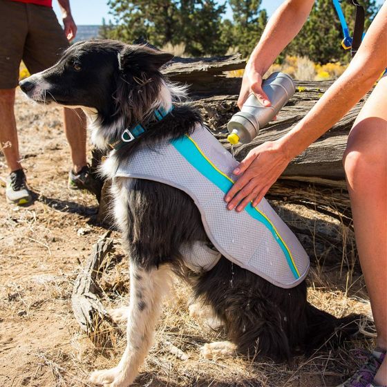 Ruffwear Swamp Cooling Vest for Dogs Grey