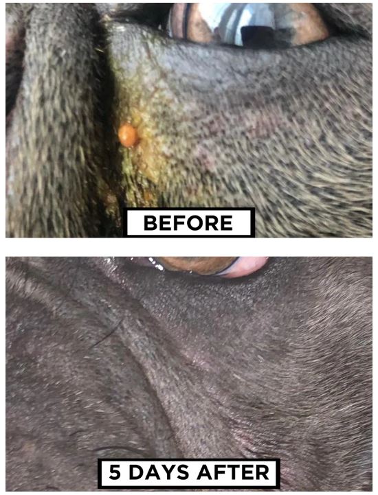 Supreme Health Superheal 30g (1.1oz)