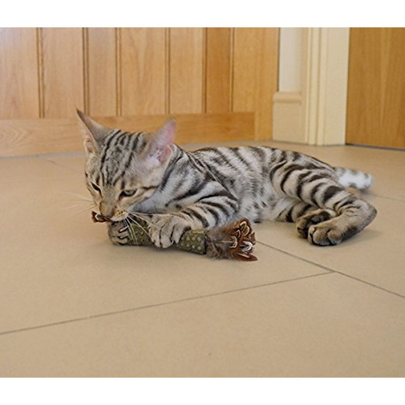 GiGwi Catnip “Johnny Sticks” Cat Toy with Double Side Natural Feather