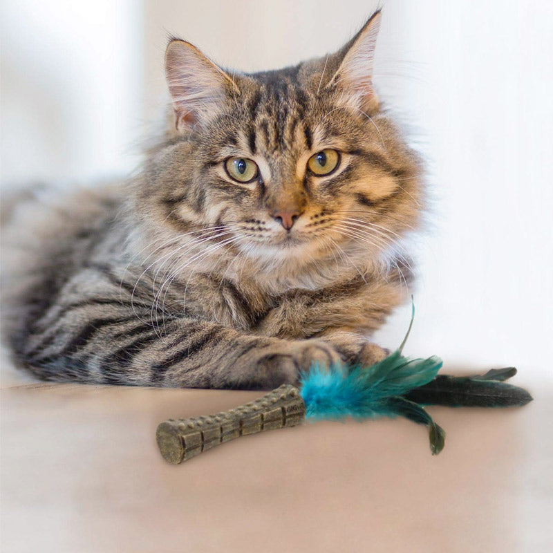 GiGwi Catnip “Johnny Sticks” Cat Toy with Natural Feather