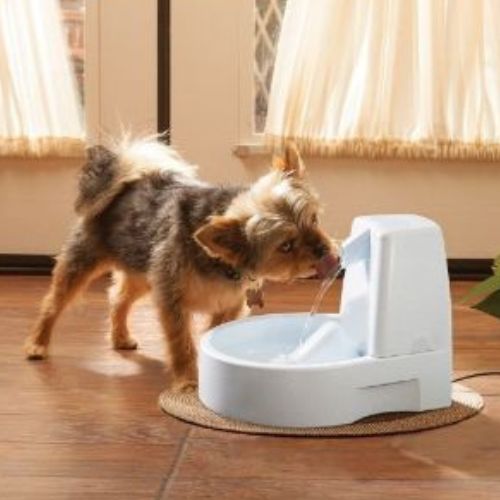 Petsafe Drinkwell Original Water Fountain for Dogs and Cats