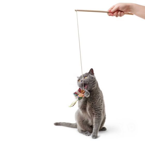 Hunter Limana Cushion Cat Toy