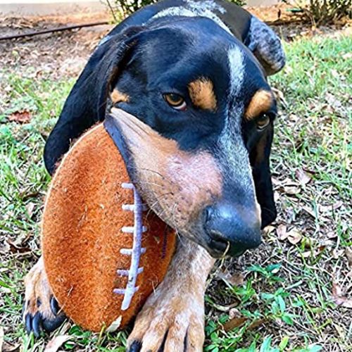 Nylabone Football Dog Toy