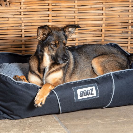 Rogz Lekka Cushioned Bed for Dogs