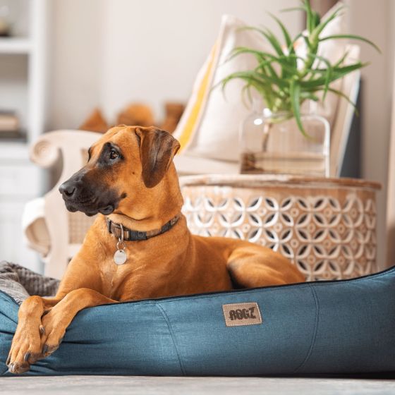 Rogz Indoor Cushioned Bed for Dogs