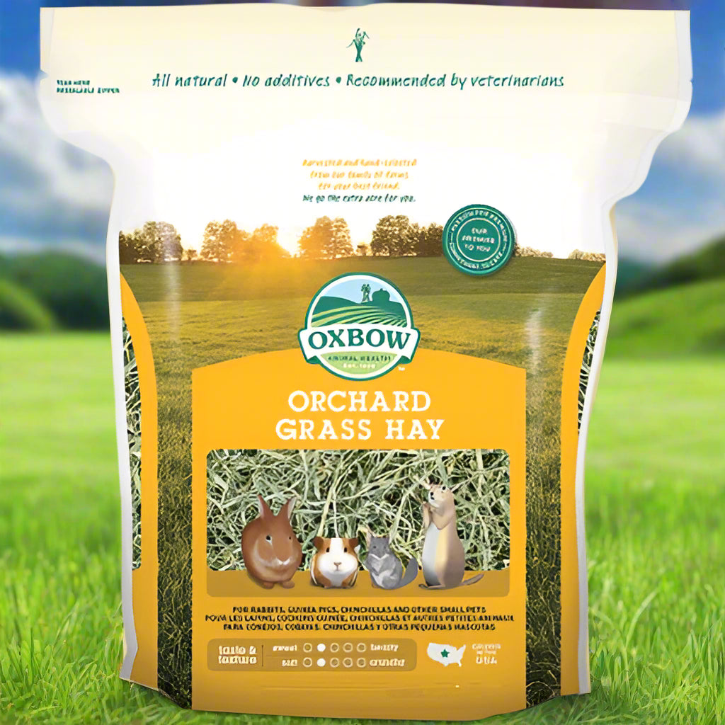 Oxbow Orchard Grass Hay for Small Animals