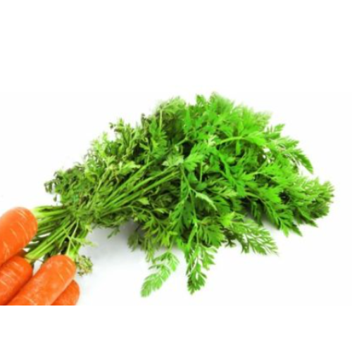 Carrot Leaves 200g