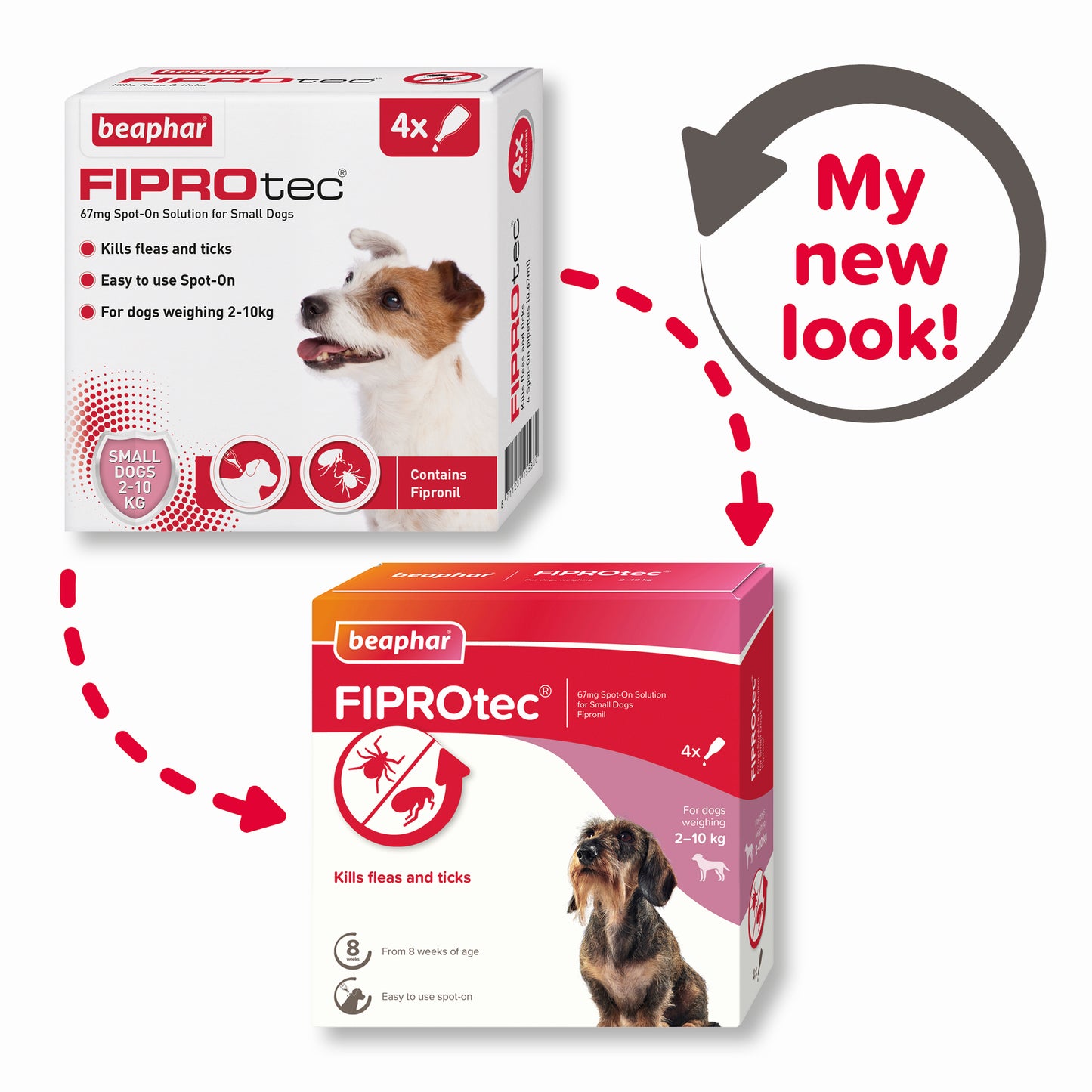 Beaphar Fiprotec for Small Dogs (Flea & Tick Treatment)