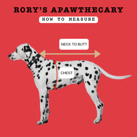 Rory's Apawthecary Dog Towel