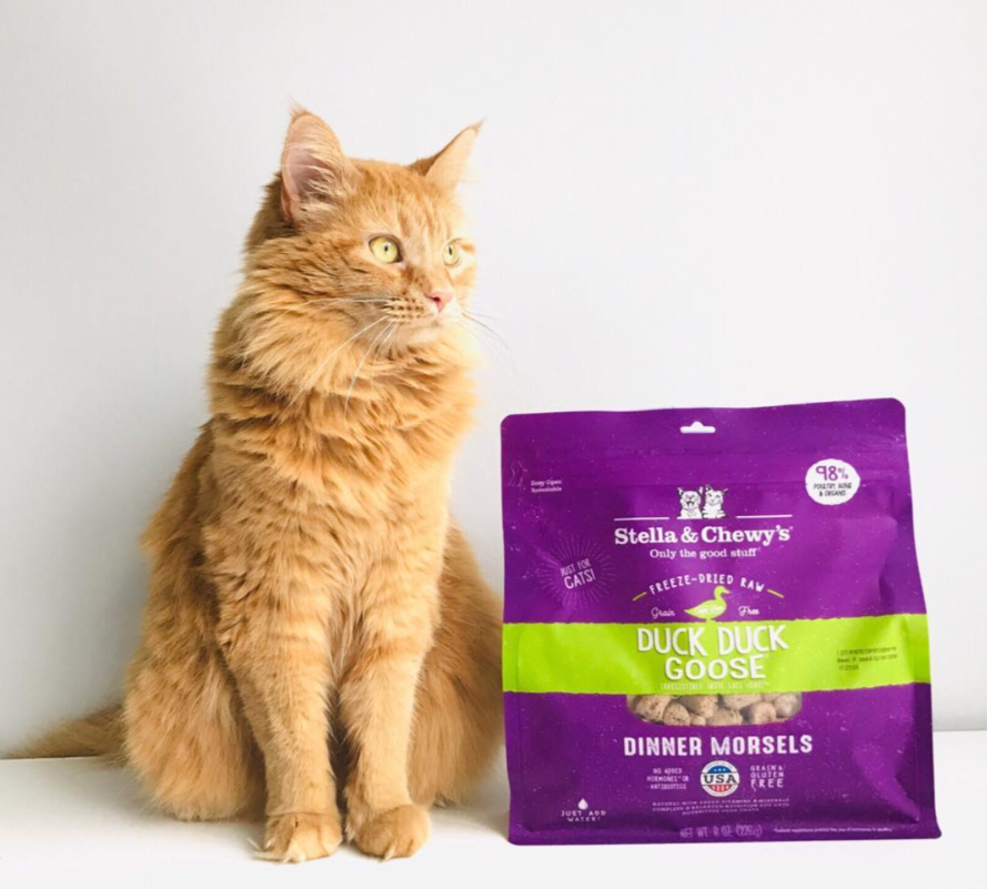 Stella & Chewy's Cat Food Freeze-Dried Duck & Goose