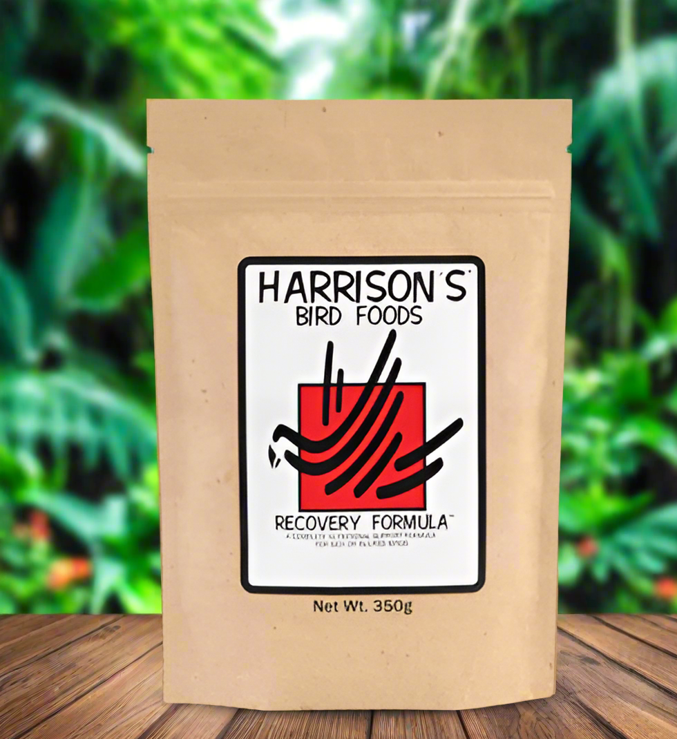 Harrison's Bird Foods Recovery Formula