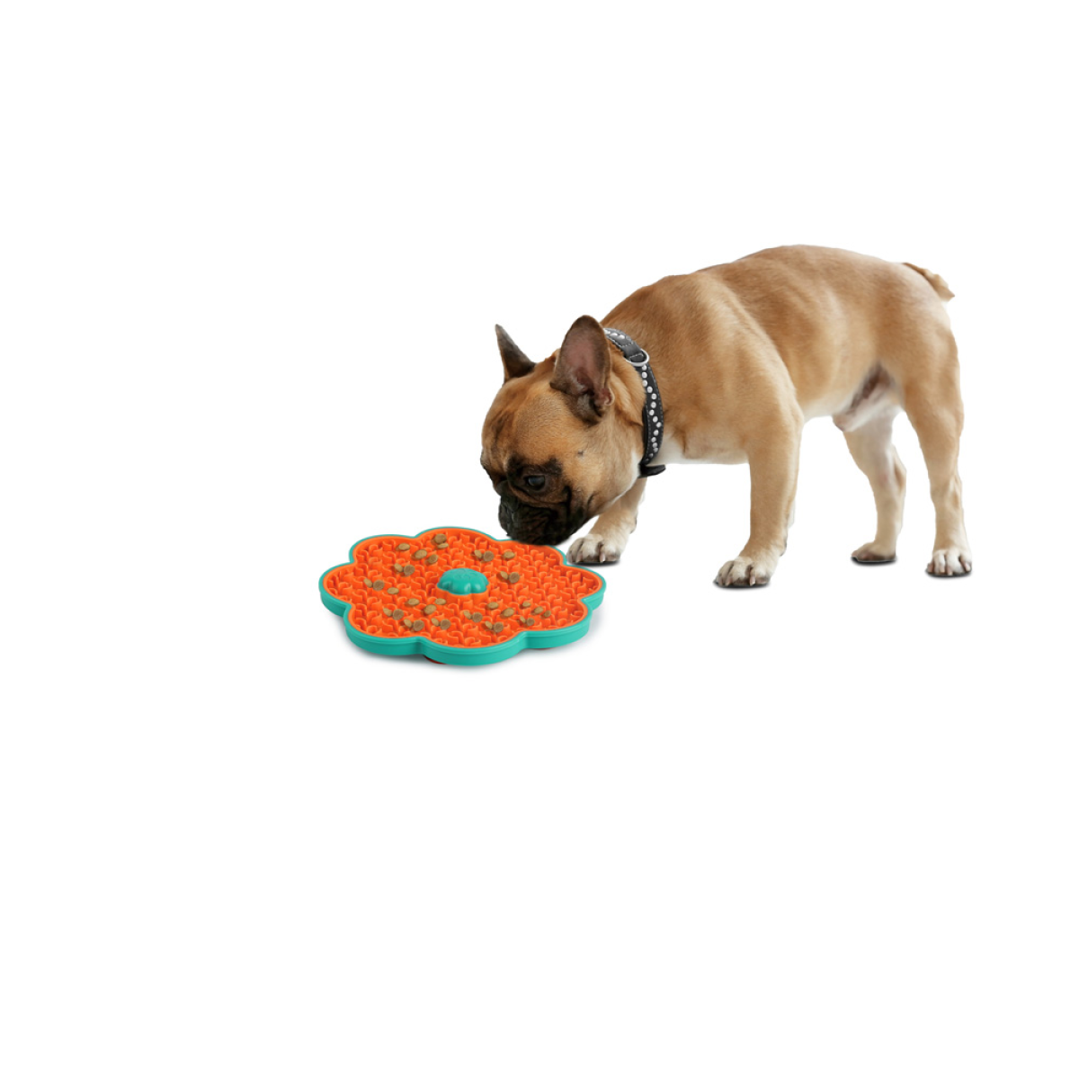All for Paws Calming Pals - Lick-A-Disk for Dogs and Cats