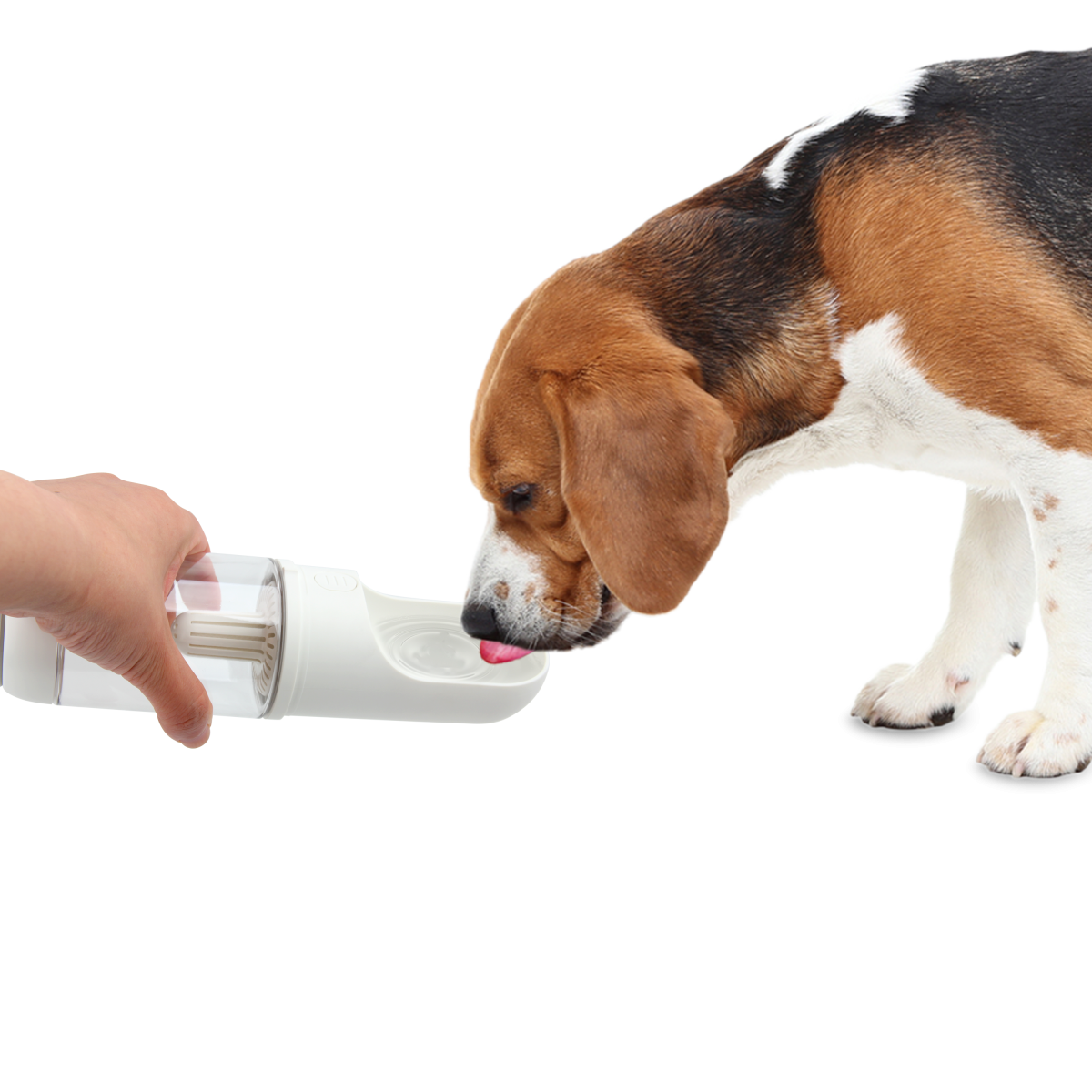 All for Paws Handy Drinking Bottle for Dogs 330ml