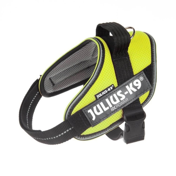 Julius K9 IDC Powair Dog Harness Neon
