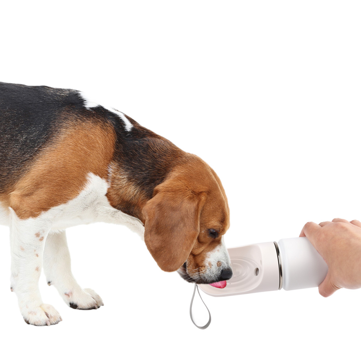 All for Paws 2-in-1 Stainless Drinking Bottle for Dogs 400 ml / 14 oz