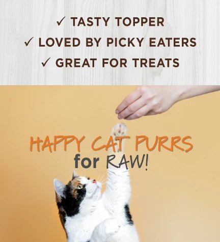 Instinct Raw Boost Mixers Digestive Health Freeze-Dried Cat Food Topper 156g - 5.5oz