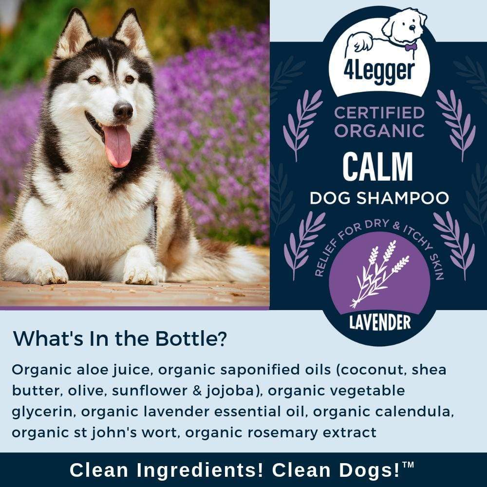4Legger Calm Lavender Dog Shampoo