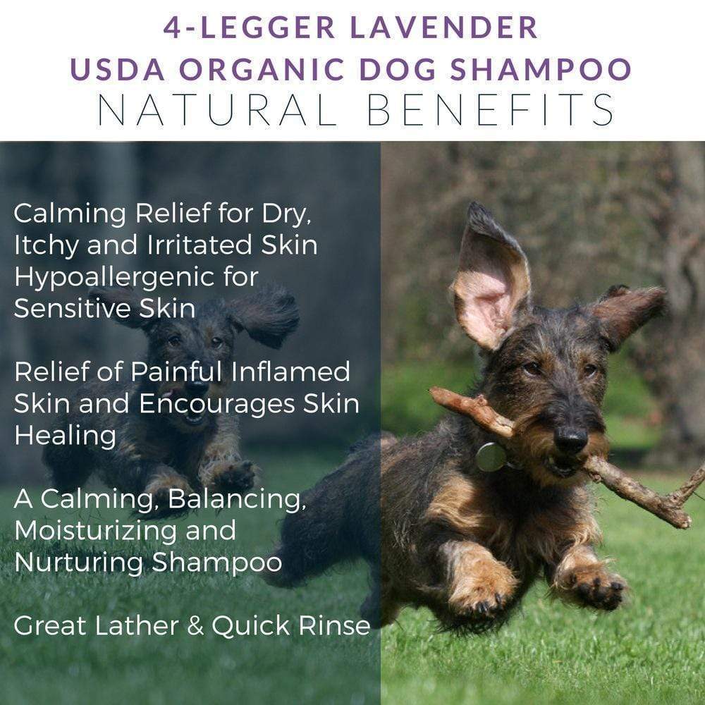 4Legger Calm Lavender Dog Shampoo