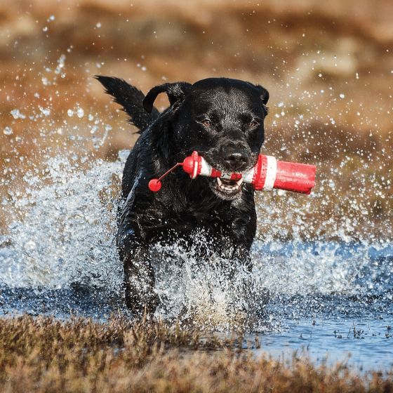 Rogz Lighthouse Fetch Toy