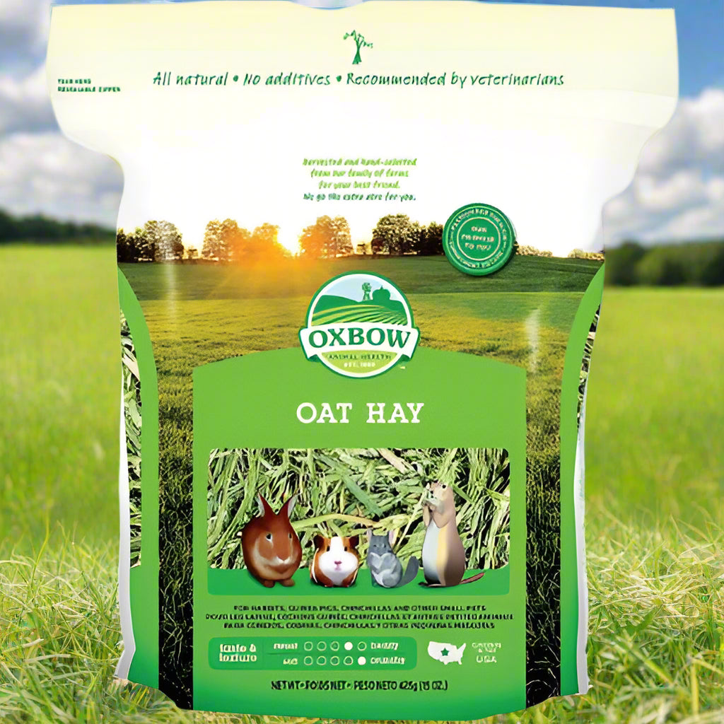 Oxbow Oat Hay for Small Animals   425g
