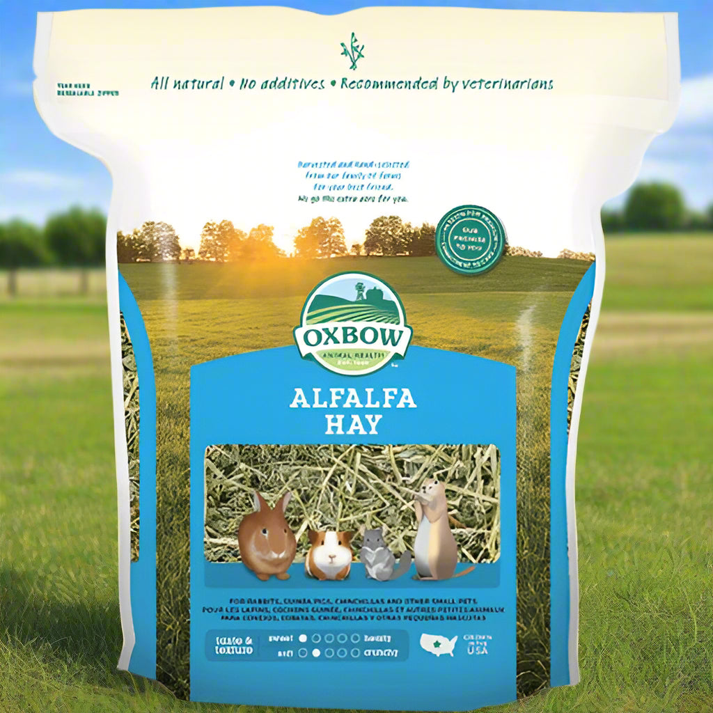Oxbow Alfalfa Hay for Small Animals  15 oz