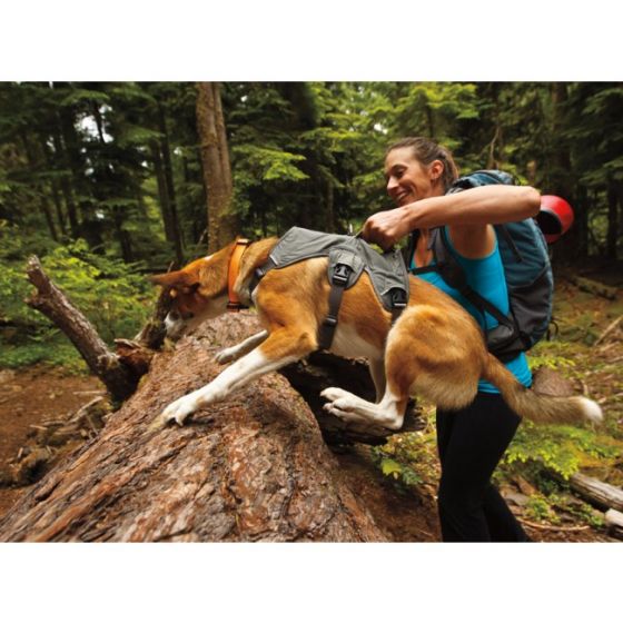 Ruffwear WebMaster Harness with Handle